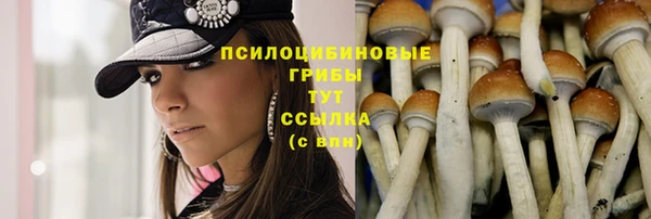 кокаин колумбия Вяземский