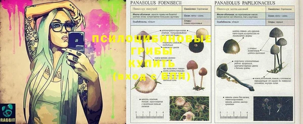 кокаин колумбия Вяземский