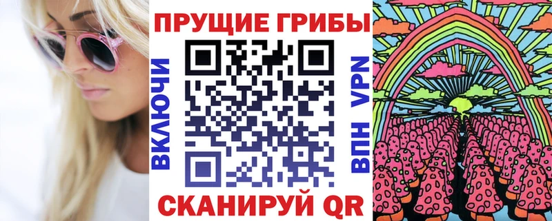 Псилоцибиновые грибы мицелий  Купить закладки  Шимановск 